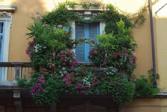 Цветы на балконе дизайн