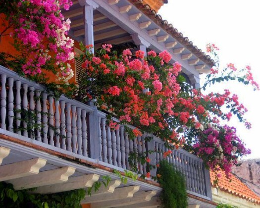 Удивительное украшения балкона цветами