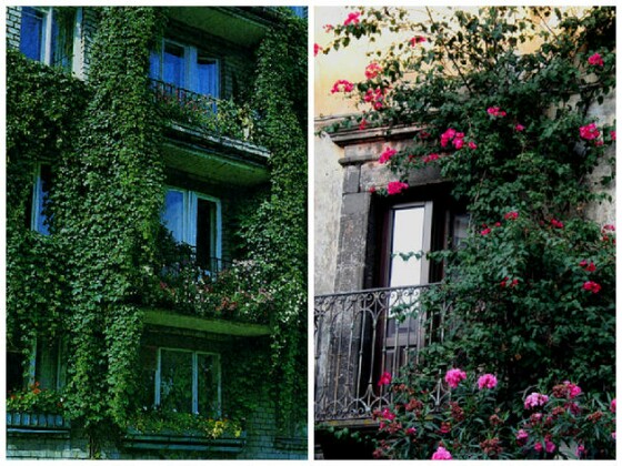 Прелестное украшения балкона цветами