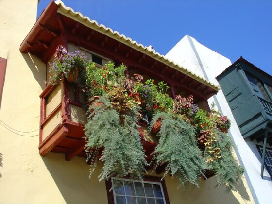 Бесподобное украшения балкона цветами