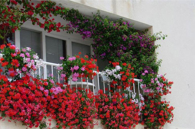 Изысканное украшения балкона цветами