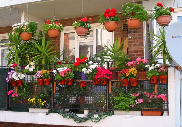Великолепное украшения балкона цветами