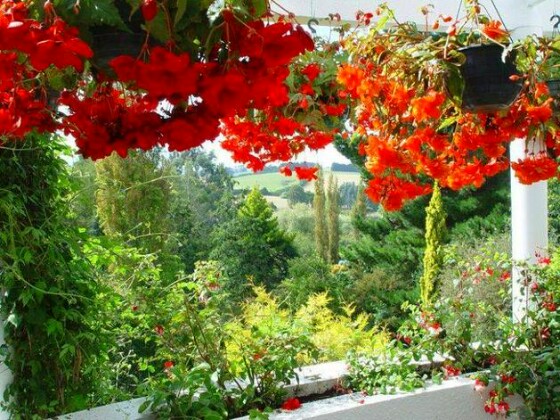 Умопомрачительное украшения балкона цветами