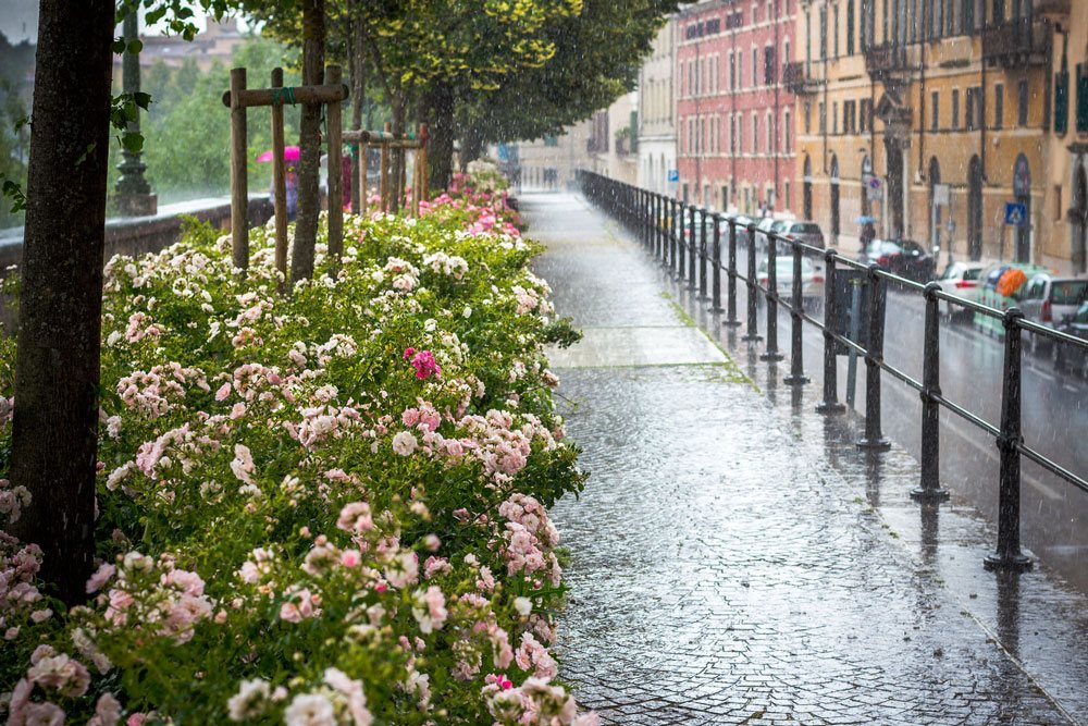 Дождь придает этому месту еще более милый и романтичный вид