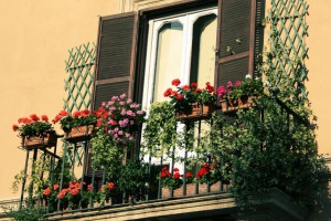 Цветы стали украшением балкона