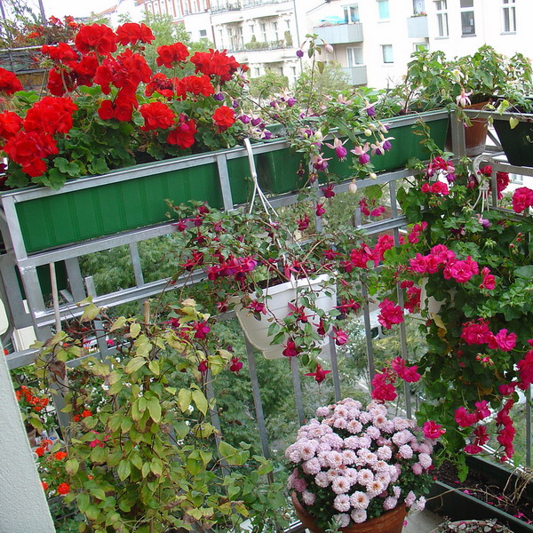 flowers-on-balcony-part1