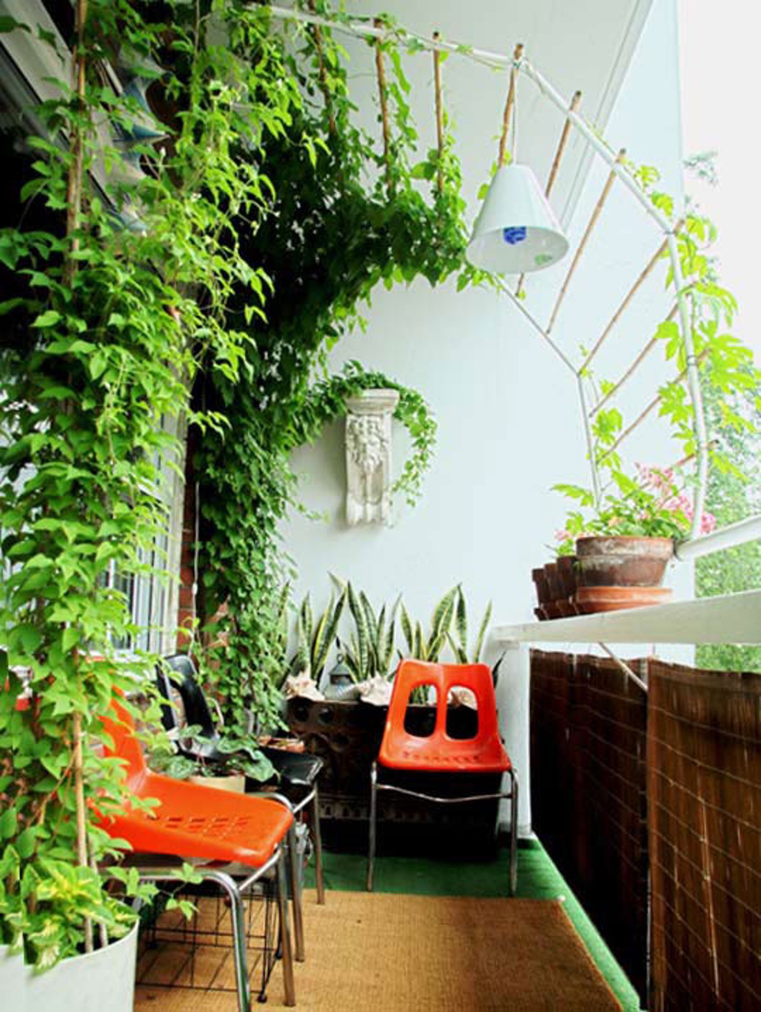 Зеленая "стена" на балконе
