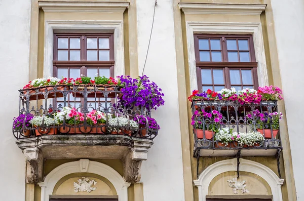 Балкон с цветущими цветами в архитектурных историческом здании в центре Львова — стоковое фото