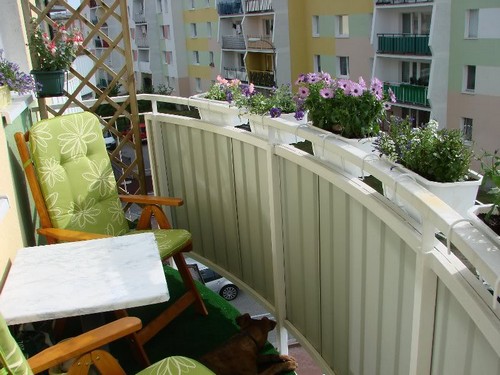 Какие цветы выращивать на маленьком балконе